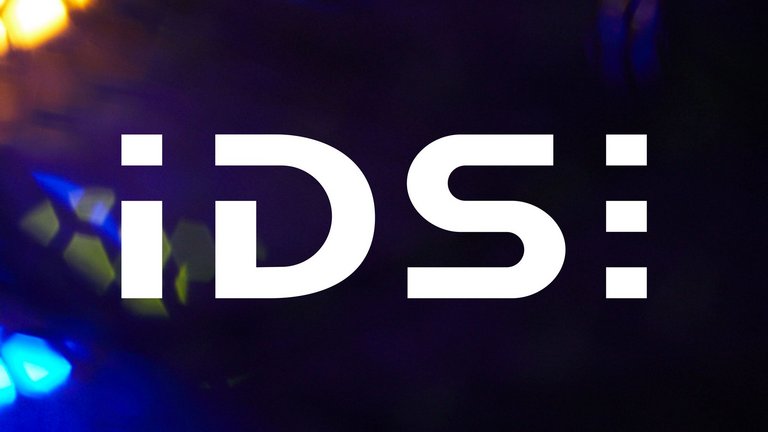 IDS Group — Energy
